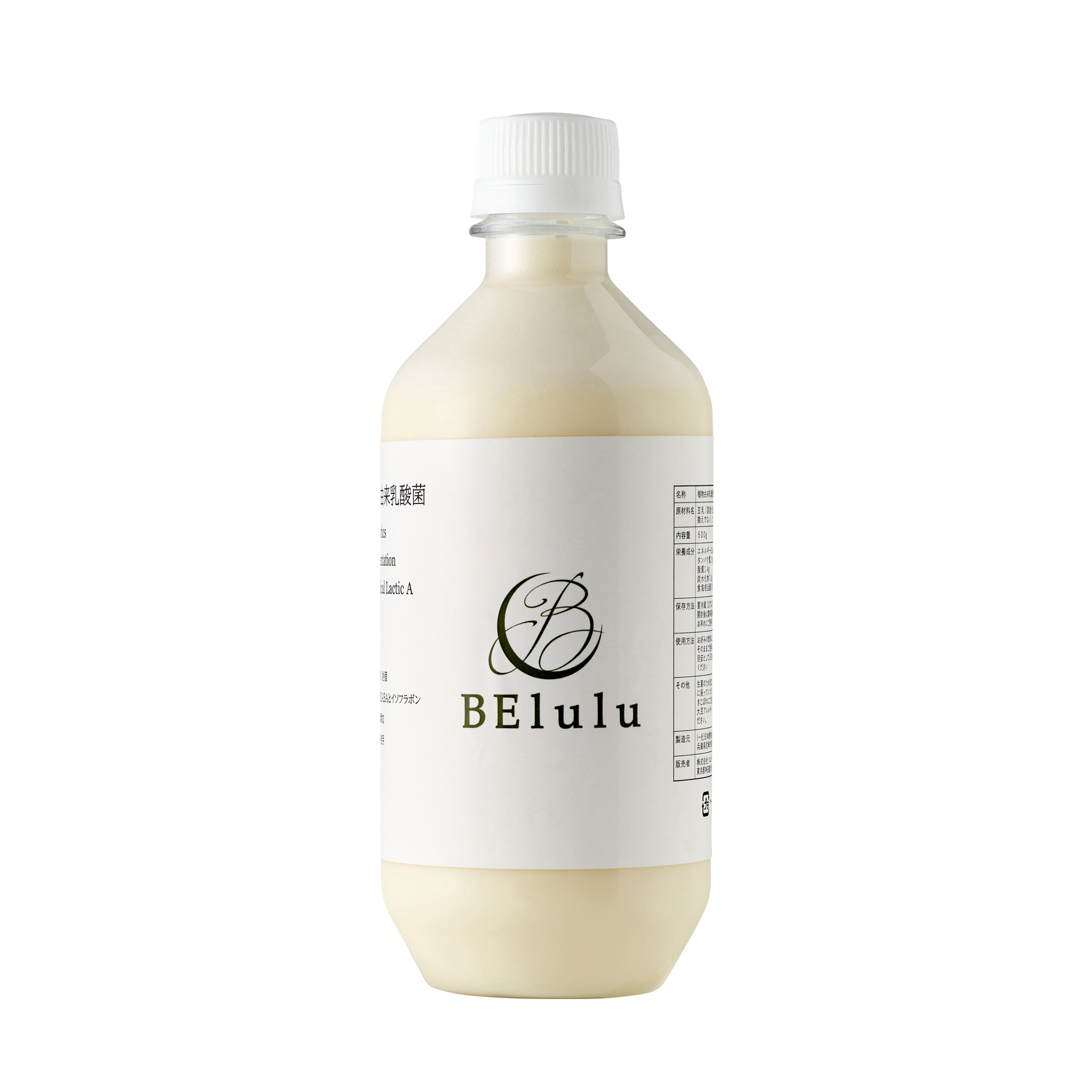 乳酸菌