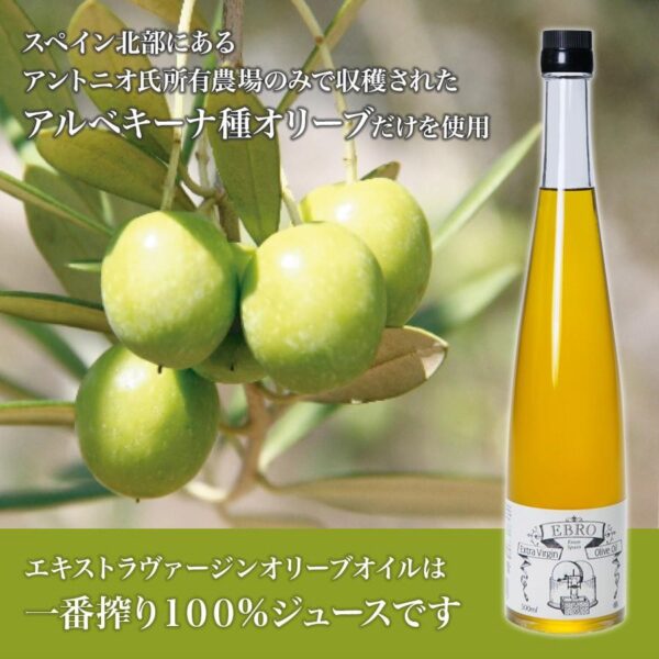 オリーブオイル　エキストラヴァージン　スペイン北部産500ml　送料込 - 画像 (3)