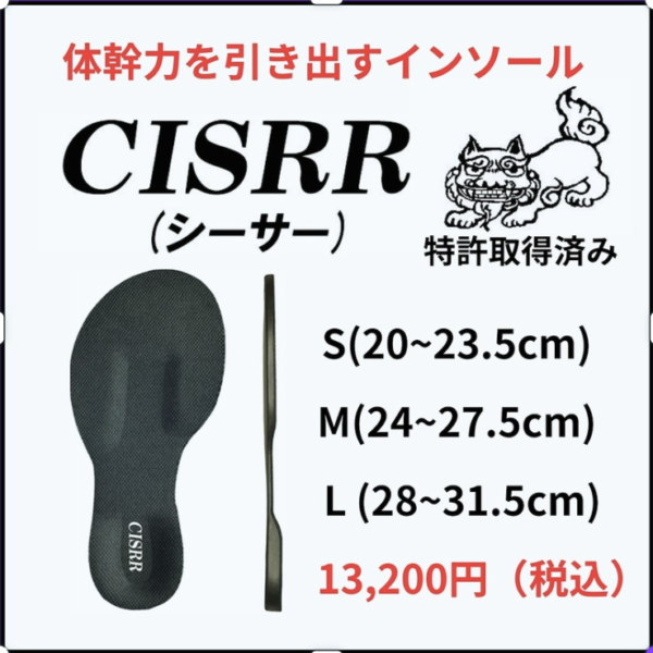 CISRRインソール - 画像 (2)
